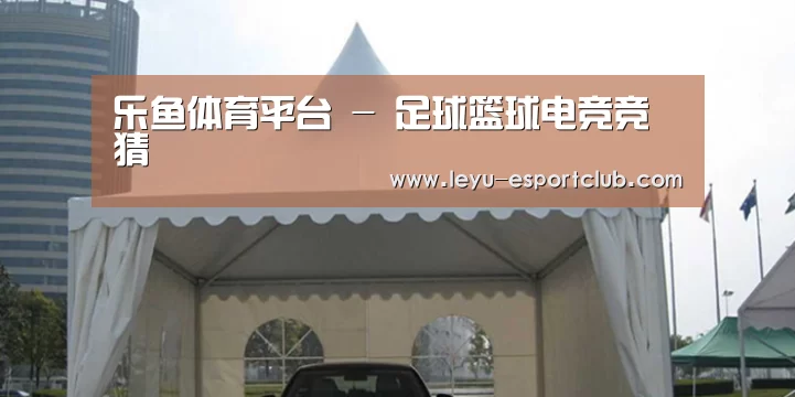 案例标题八
