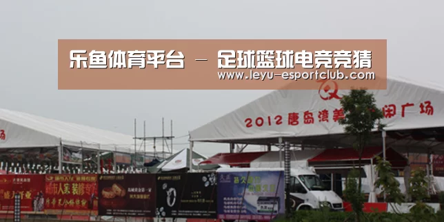 案例标题十