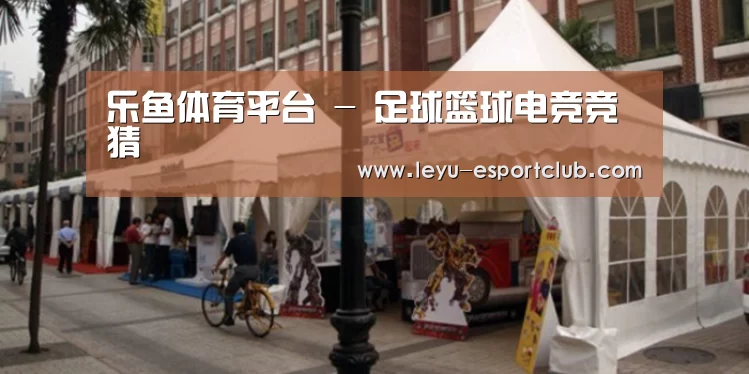 案例标题九