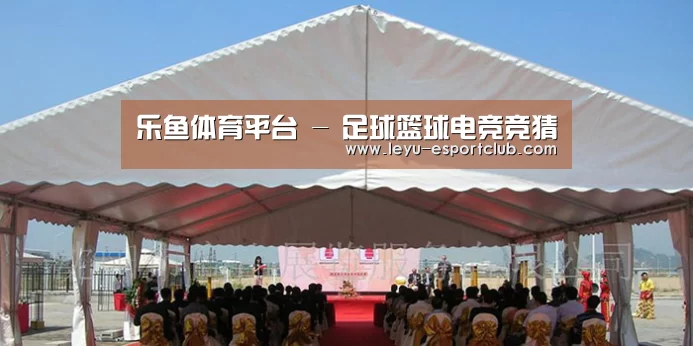 案例标题三