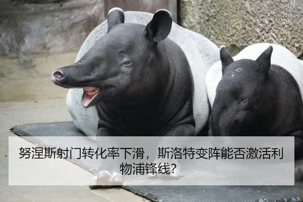 努涅斯射门转化率下滑，斯洛特变阵能否激活利物浦锋线？