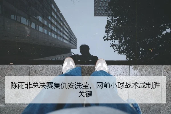 陈雨菲总决赛复仇安洗莹，网前小球战术成制胜关键